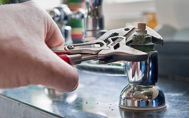 Best Flooded house restoration  in Millington, TN