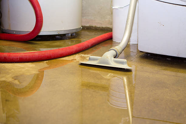 Sewage cleanup and water damage restoration in TN