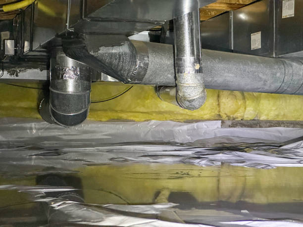 Best Carpet water damage restoration  in Millington, TN