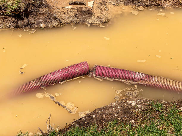 Best Mold removal after water damage  in Millington, TN