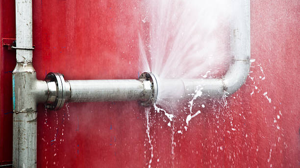 Best Professional water damage repair  in Millington, TN
