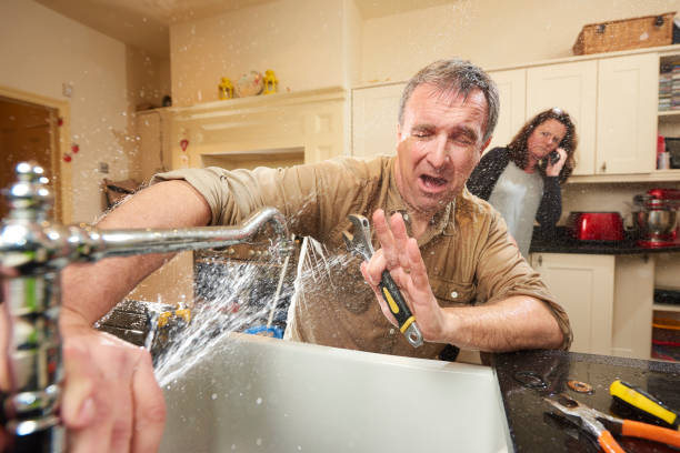 Best Flood restoration services  in Millington, TN